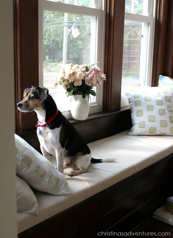 DIY Dog Window Seat
 DIY Window Seat Cushion Christinas Adventures