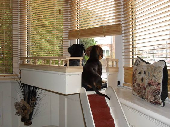 DIY Dog Window Seat
 This is someone who loves their dogs to build them a