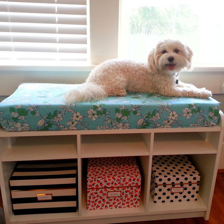 DIY Dog Window Seat
 Best 25 Dog window seat ideas on Pinterest