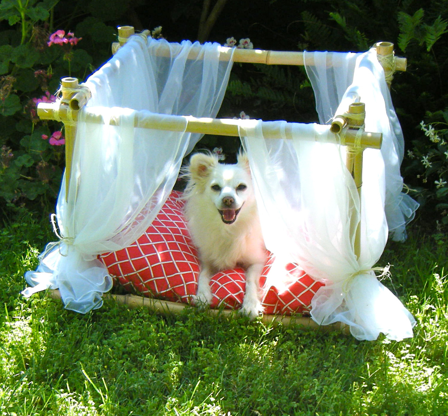 DIY Doggie Bed
 Sew DoggyStyle DIY Dog Bed Bamboo Frame