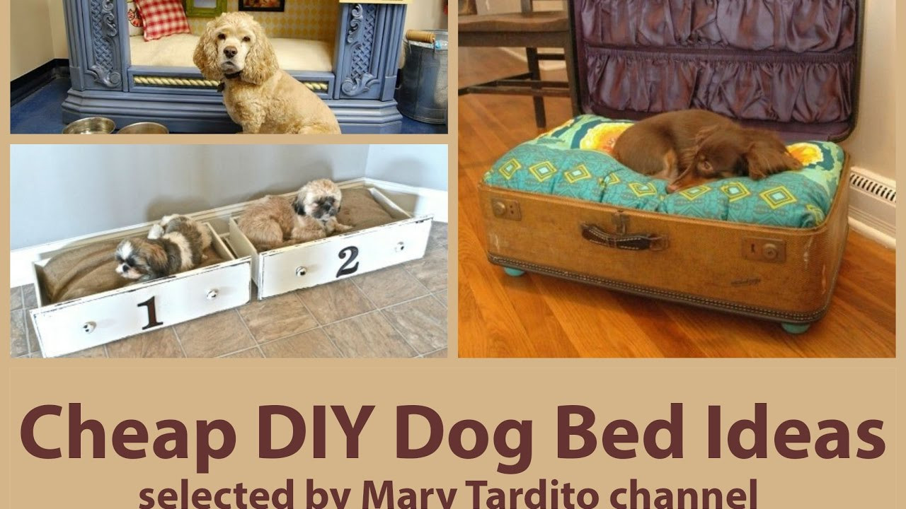 DIY Doggie Bed
 Cheap DIY Dog Bed Ideas