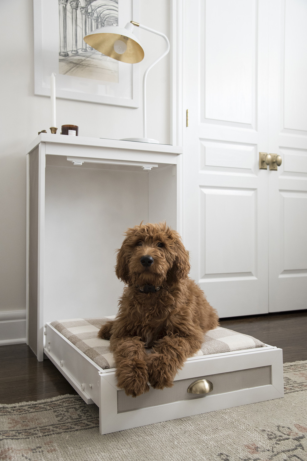 DIY Doggie Bed
 Easy Murphy Dog Bed DIY Room for Tuesday Blog