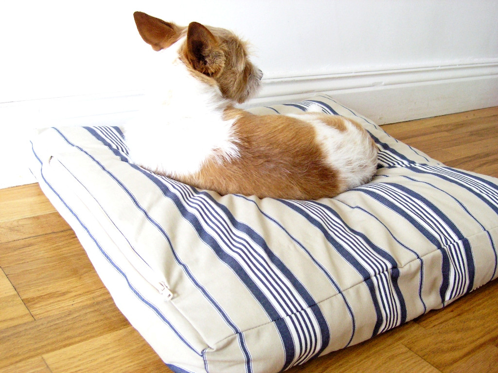 DIY Doggie Bed
 made DIY Dog Bed