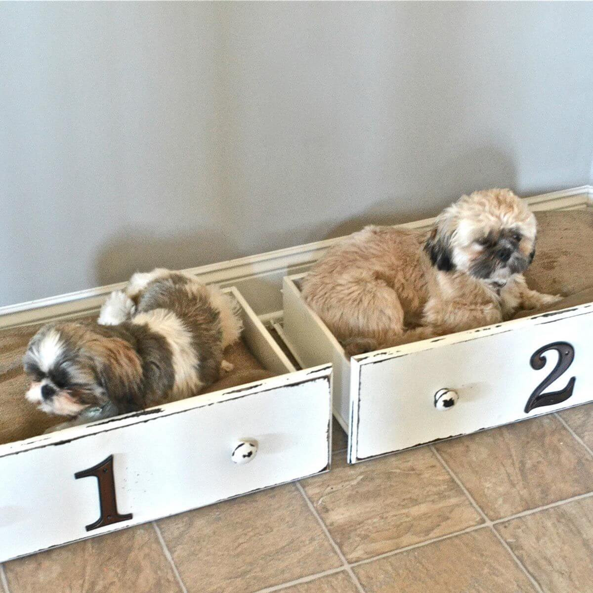 DIY Doggie Bed
 14 Adorable DIY Dog Beds — The Family Handyman