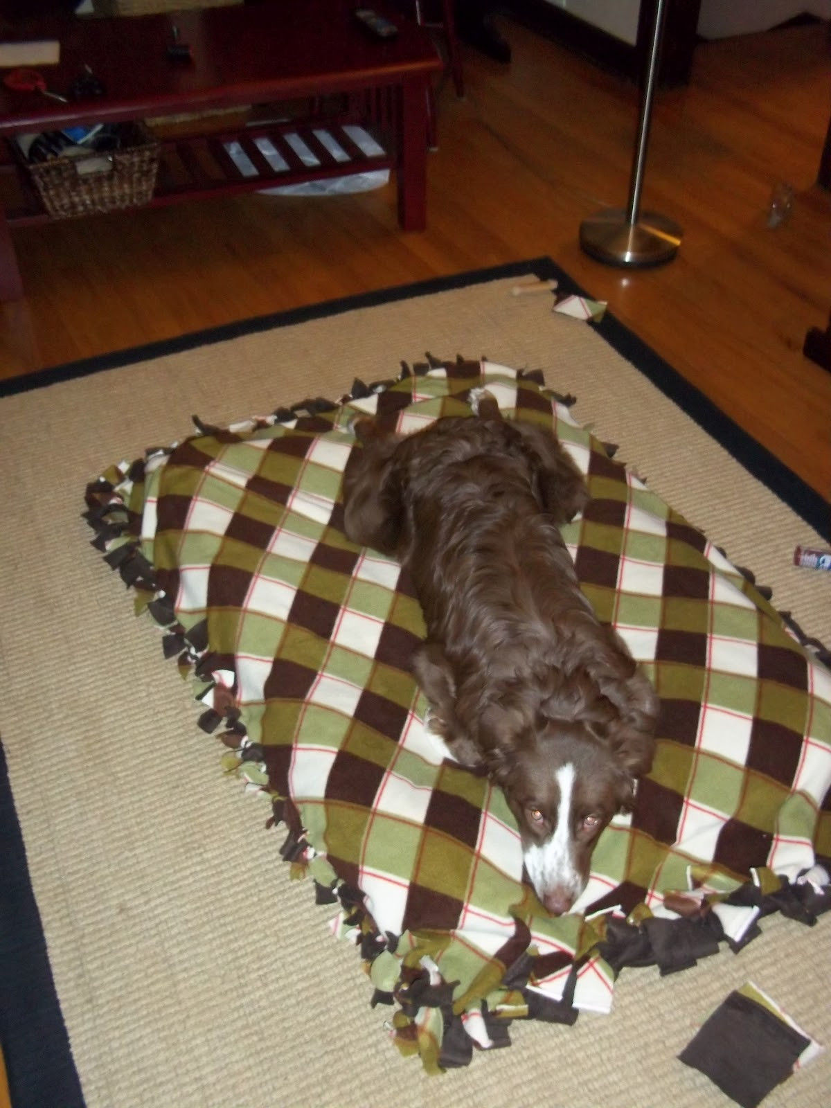 DIY Doggie Bed
 Our Big Blue House Homemade Dog Bed