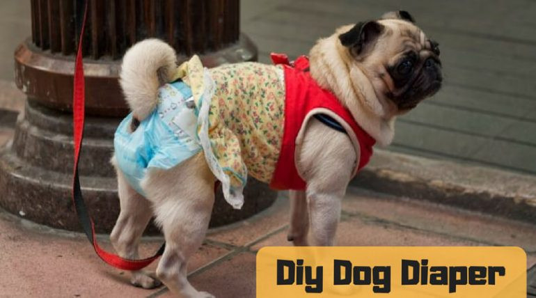 DIY Doggie Diaper
 DIY Dog Diaper Make Diaper Alternative At Your Home