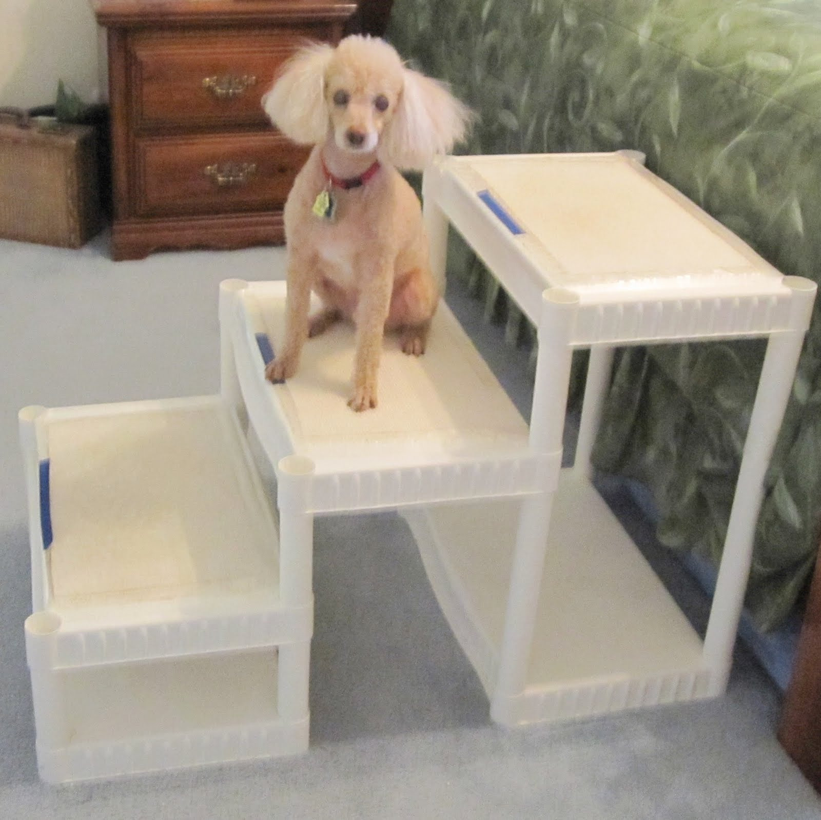 DIY Doggie Stairs
 Always Learning Stuff DIY Tall Dog Stairs for about $40