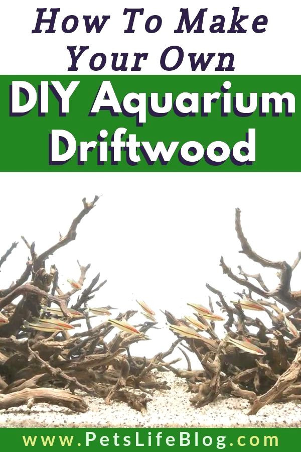 DIY Driftwood For Aquarium
 Read How To Make Your Own DIY Aquarium Driftwood