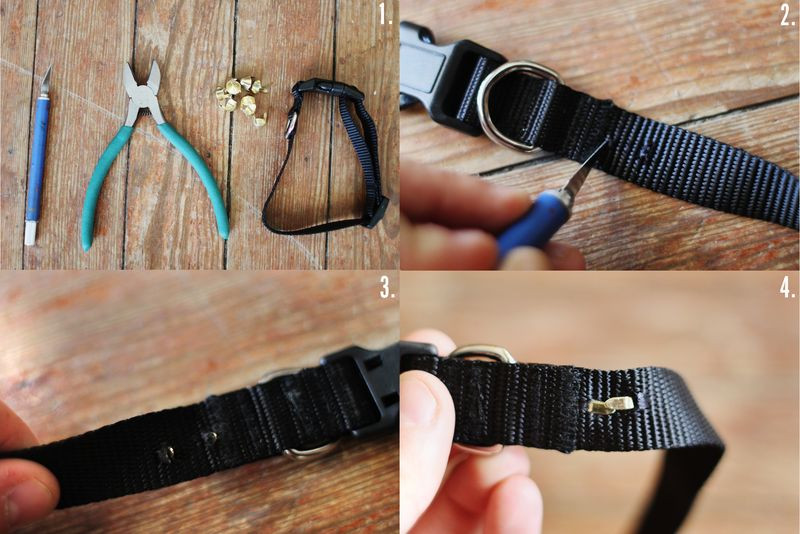 DIY E Collar For Dog
 DIY Studded Doggie Collar – A Beautiful Mess