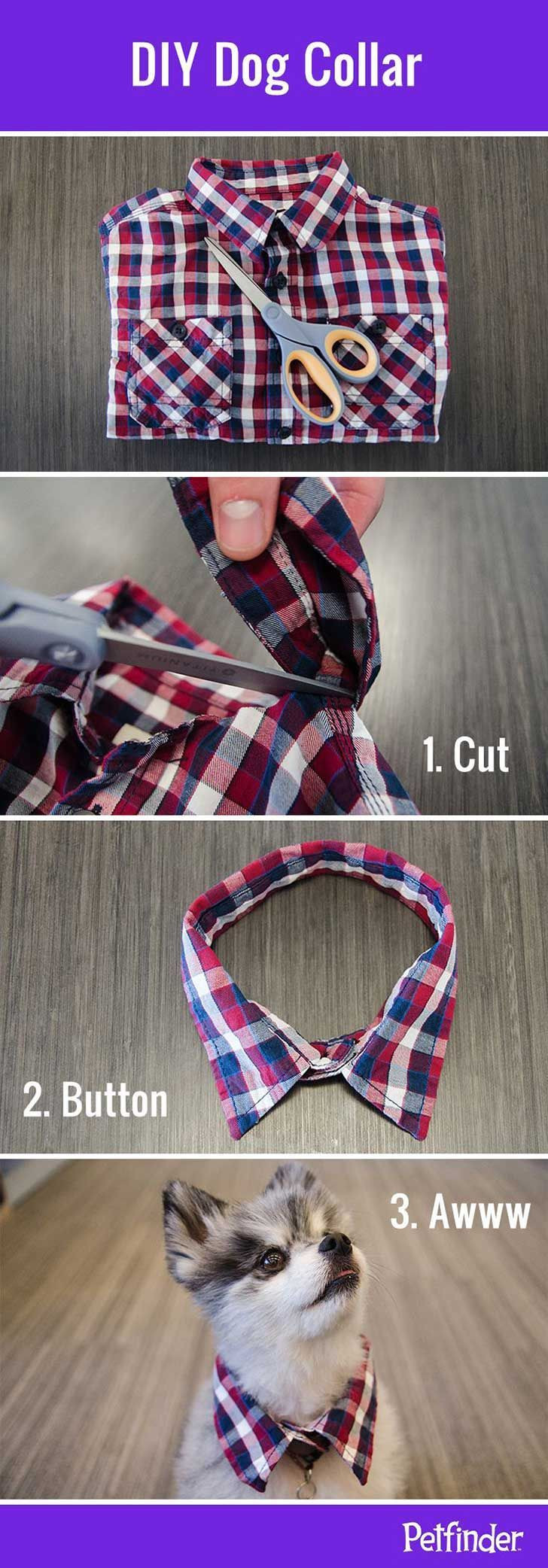 DIY E Collar For Dog
 Estas son 10 increbles ideas que debes hacer tú mismo