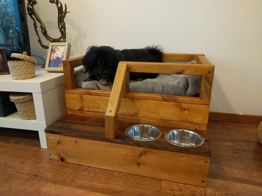 DIY Elevated Dog Bed
 Dad Gives Him Leftover Scraps Wood How He Transforms