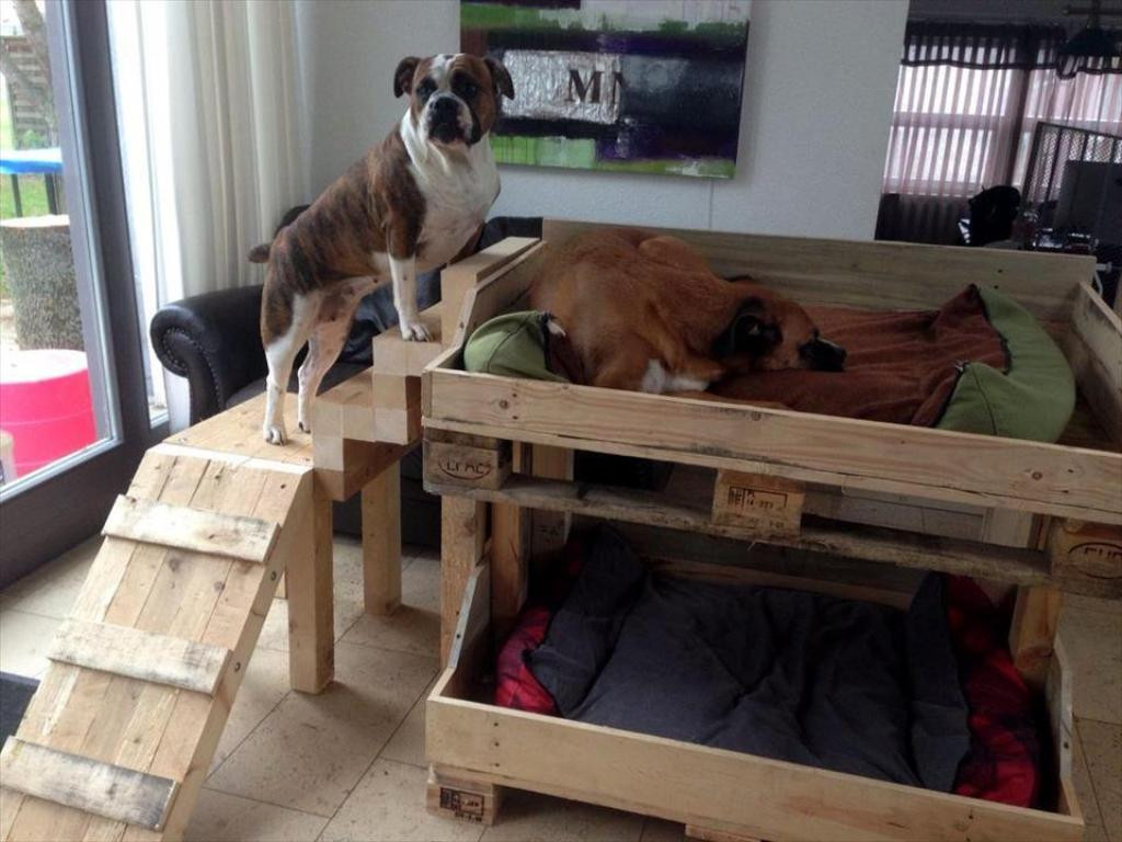 DIY Elevated Dog Bed
 Outrageous Elevated Dog Bed With Stairs Tips Home