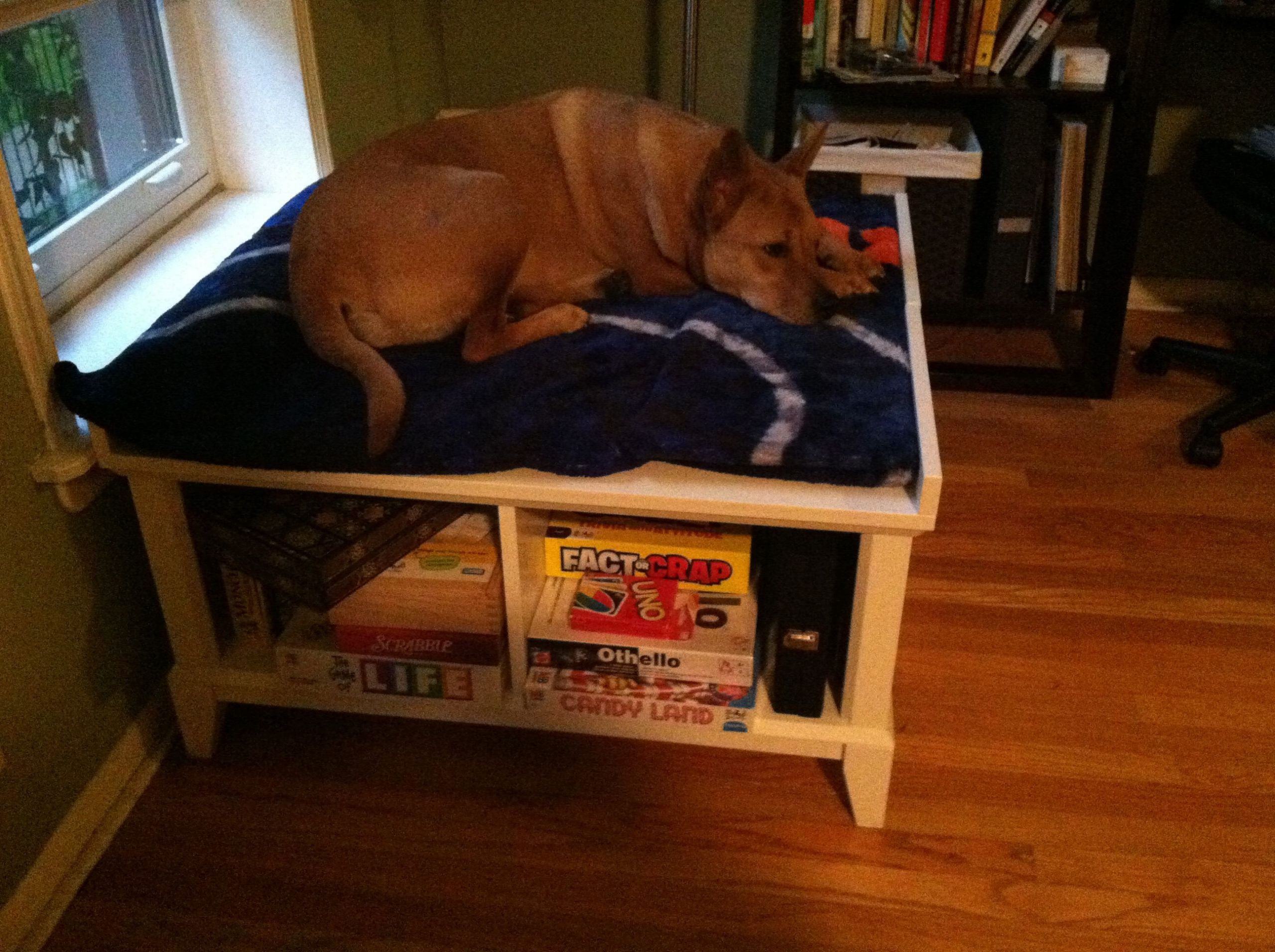DIY Elevated Dog Bed
 Best 25 Raised dog beds ideas on Pinterest