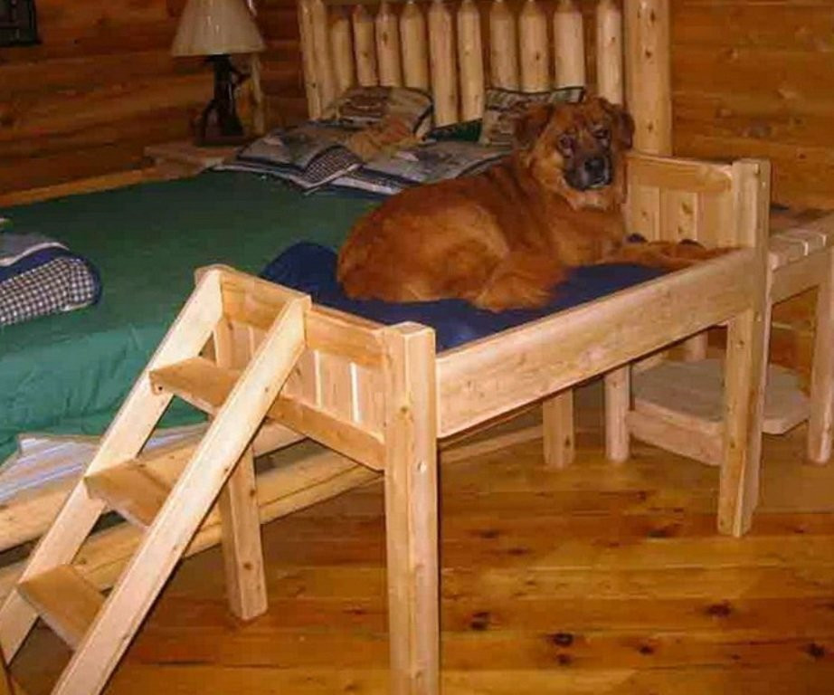 DIY Elevated Dog Bed
 Wooden Dog Beds Ideas – Loccie Better Homes Gardens Ideas