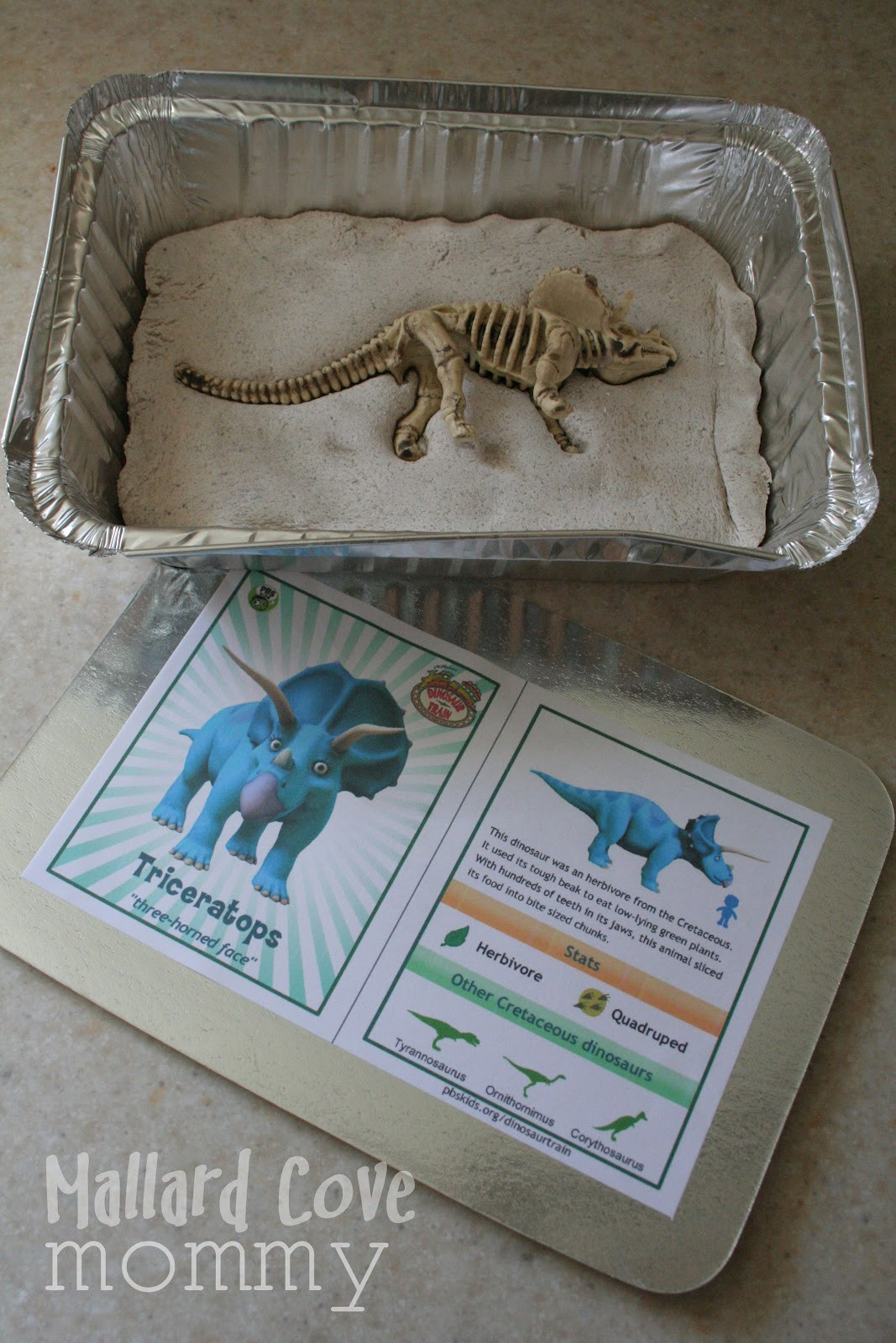 DIY Excavation Kit
 Mallard Cove Mommy DIY Dino Dig Kits