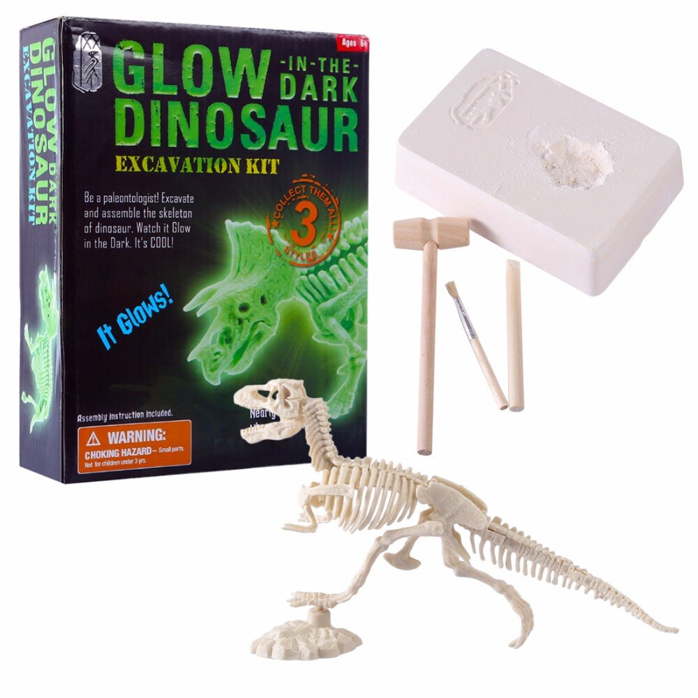 DIY Excavation Kit
 3D Glow In Dark Dinosaur Excavation Kit Science Digging