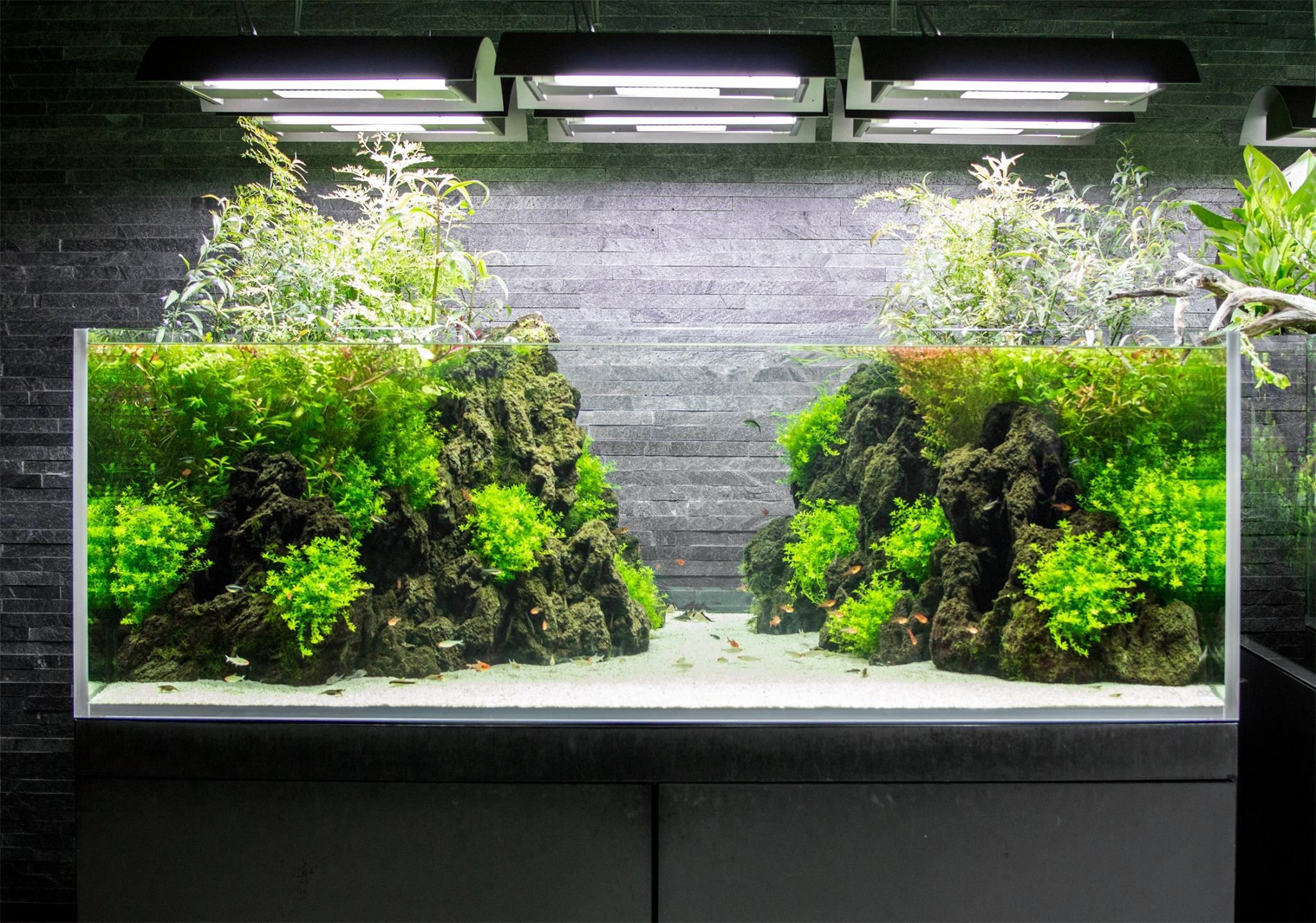 DIY Fish Tank Decor
 Aquarium Decorations Diy 50 Meowlogy
