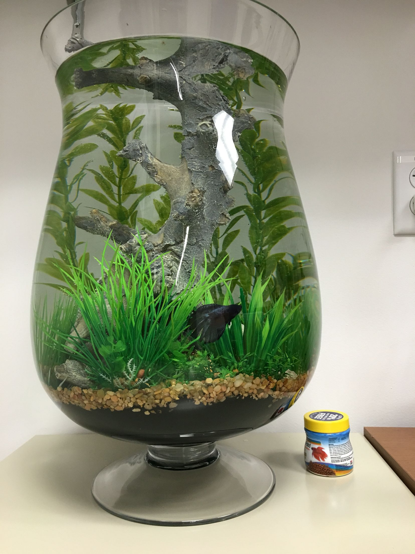 DIY Fish Tank Decor
 Aquarium Decorations Diy 15 Meowlogy
