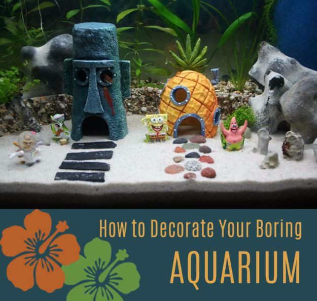 DIY Fish Tank Decor
 15 Awesome DIY Aquarium Ideas That Are Full Creativity