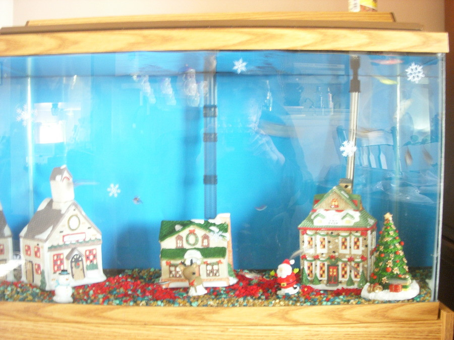 DIY Fish Tank Decor
 DIY Fish Tank Christmas Decor petdiys