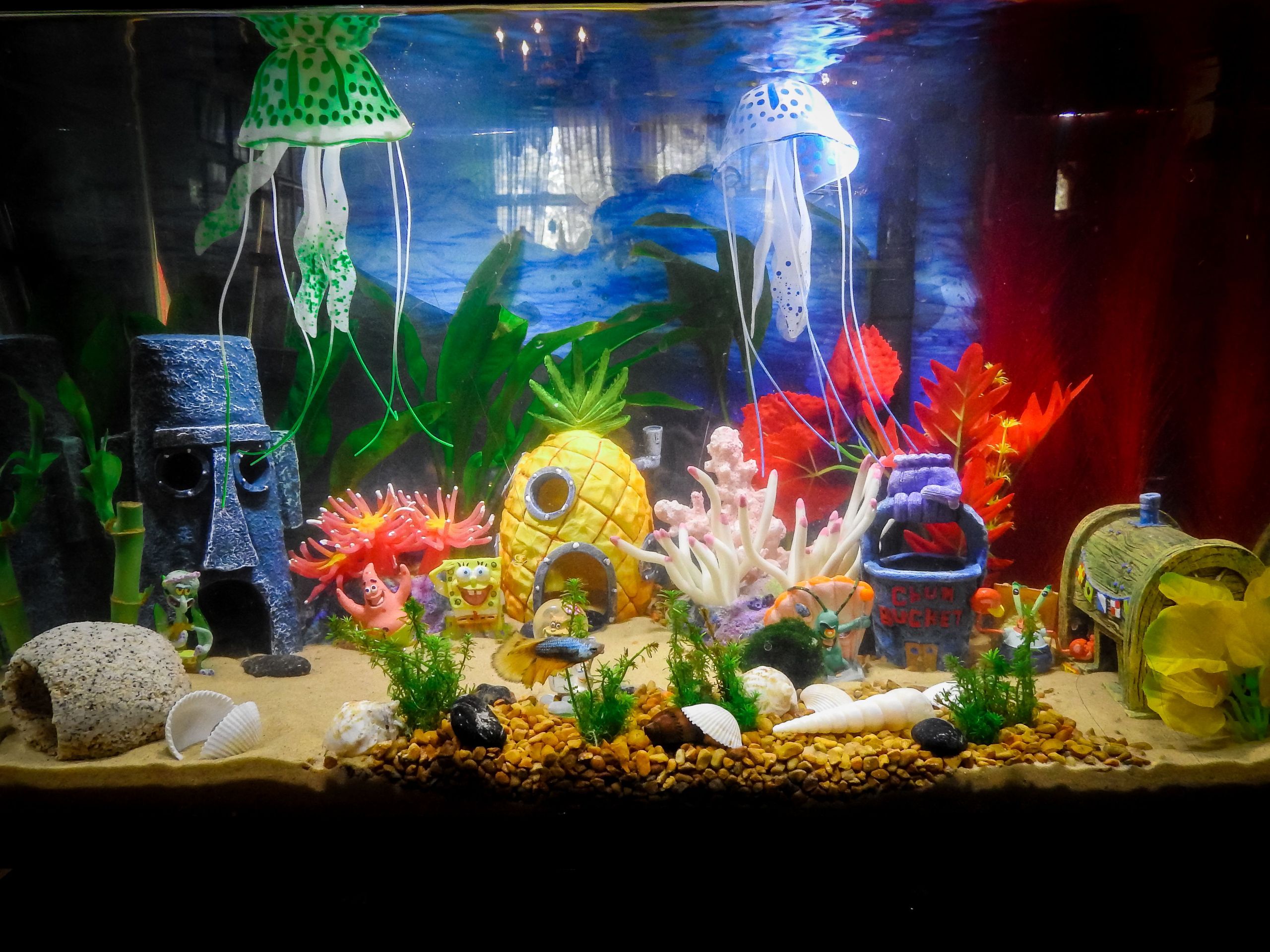DIY Fish Tank Decor
 Aquarium Decorations Diy 105 Meowlogy