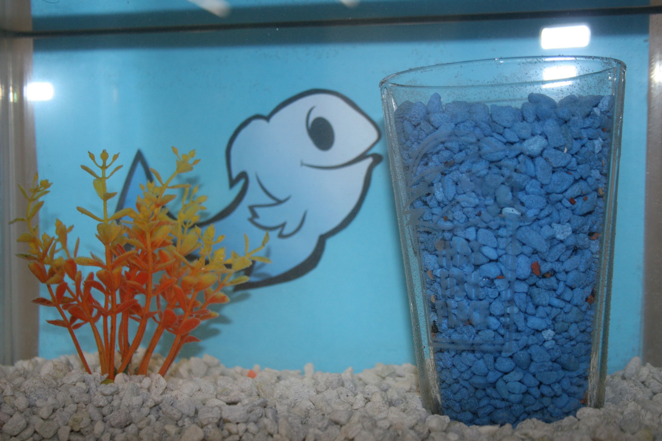 DIY Fish Tank Decor
 Aquarium Decoration Ideas & DIY Fish Bowls