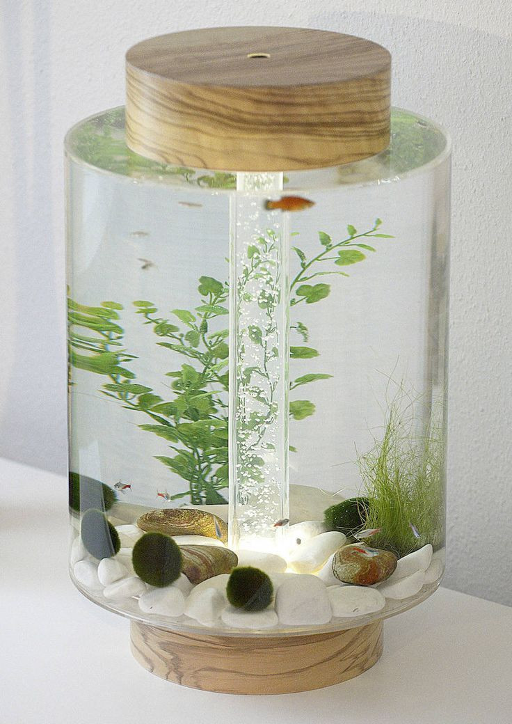 DIY Fish Tank Decor
 Aquarium Decorations Diy 12 Meowlogy