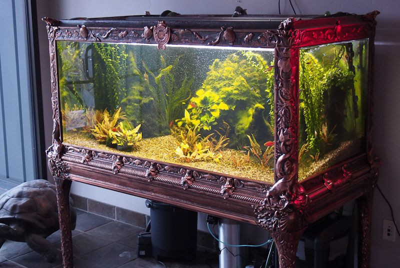 DIY Fish Tank Decor
 50 Best DIY Aquarium Decorations Ideas meowlogy