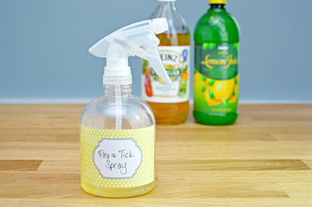 DIY Flea And Tick Spray For Dogs
 How to Make a Homemade Flea and Tick Repellent