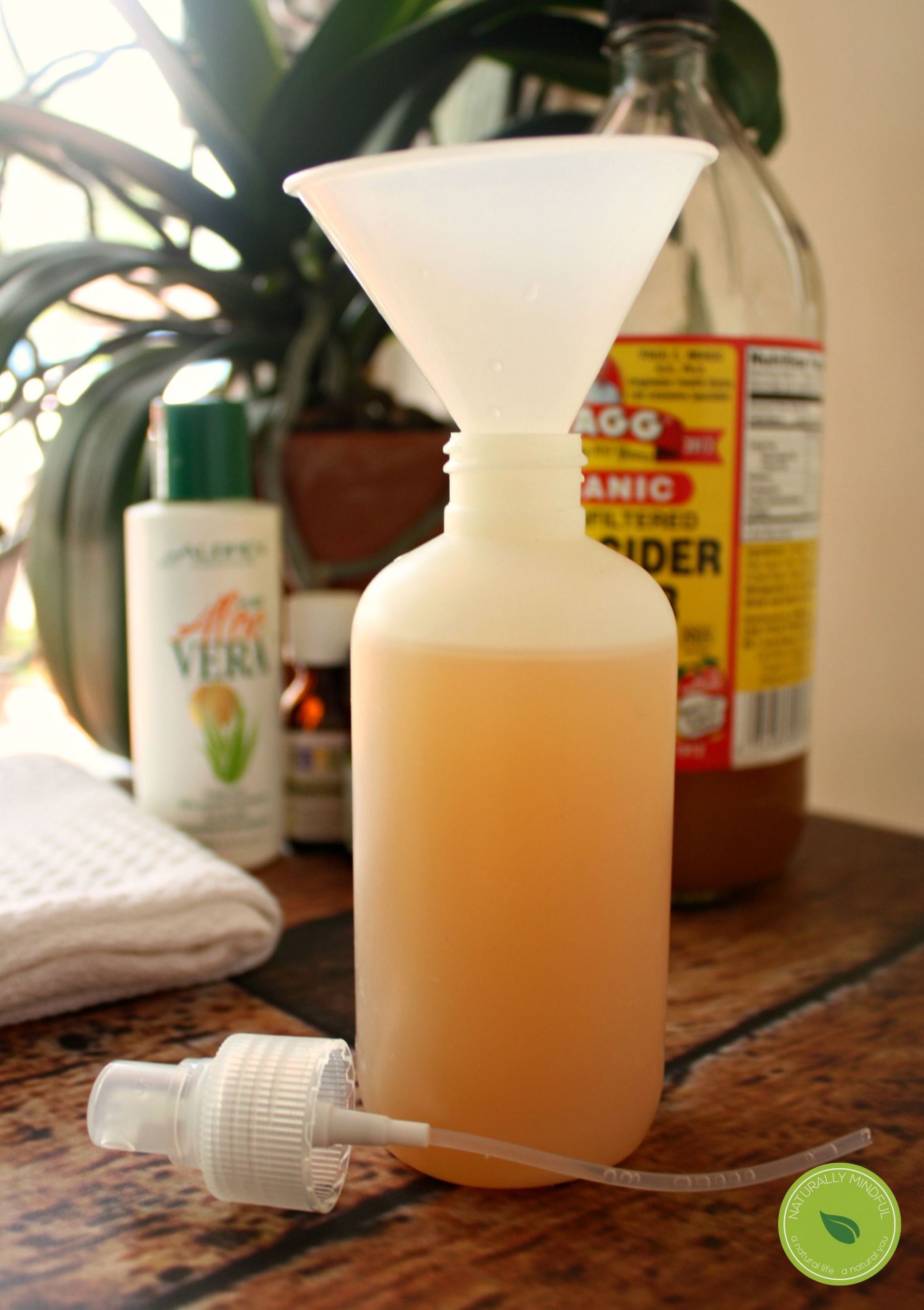 DIY Flea And Tick Spray For Dogs
 homemade anti flea and tick spray