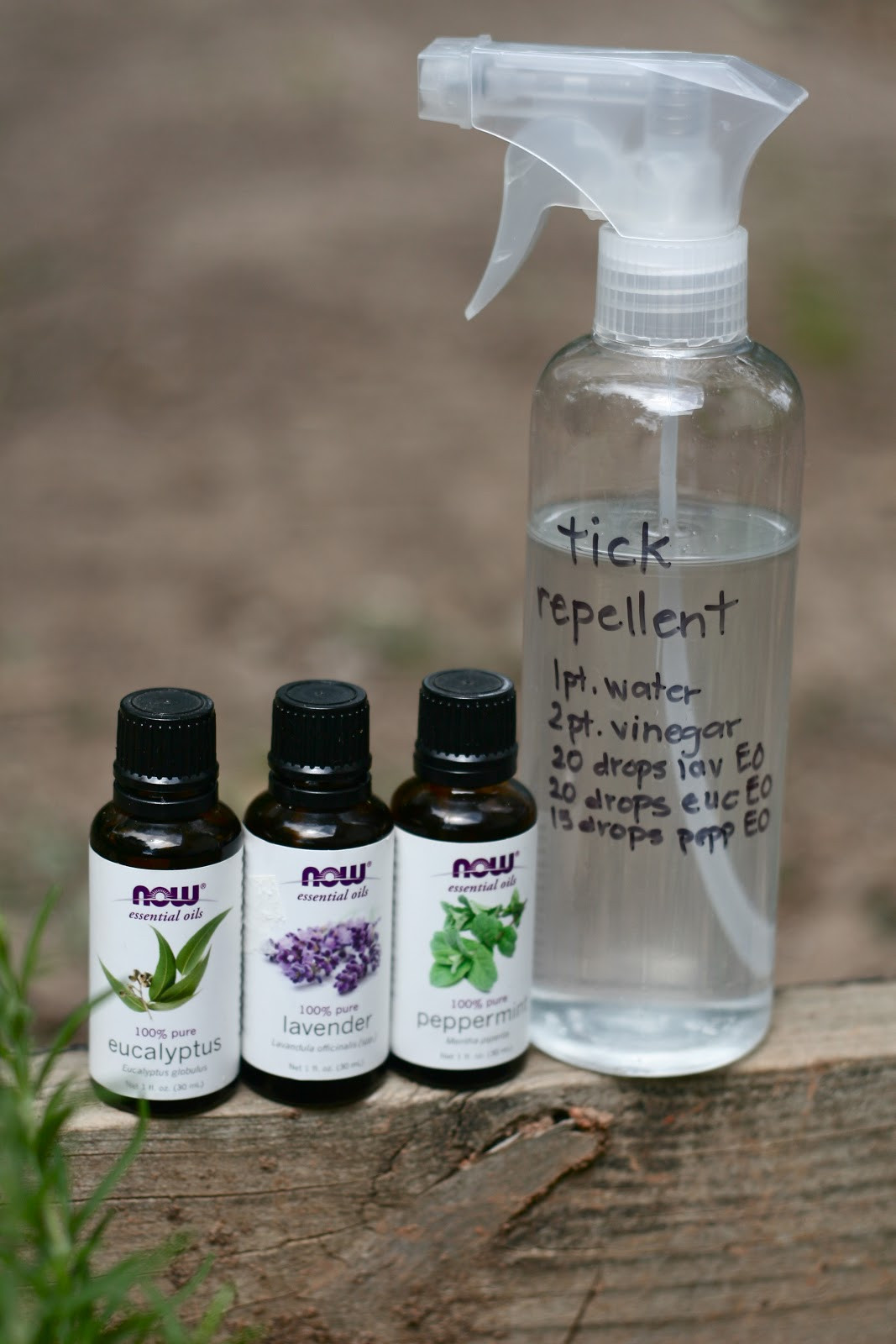 DIY Flea And Tick Spray For Dogs
 Kornerstone Farms Easy DIY Natural TICK Repellent