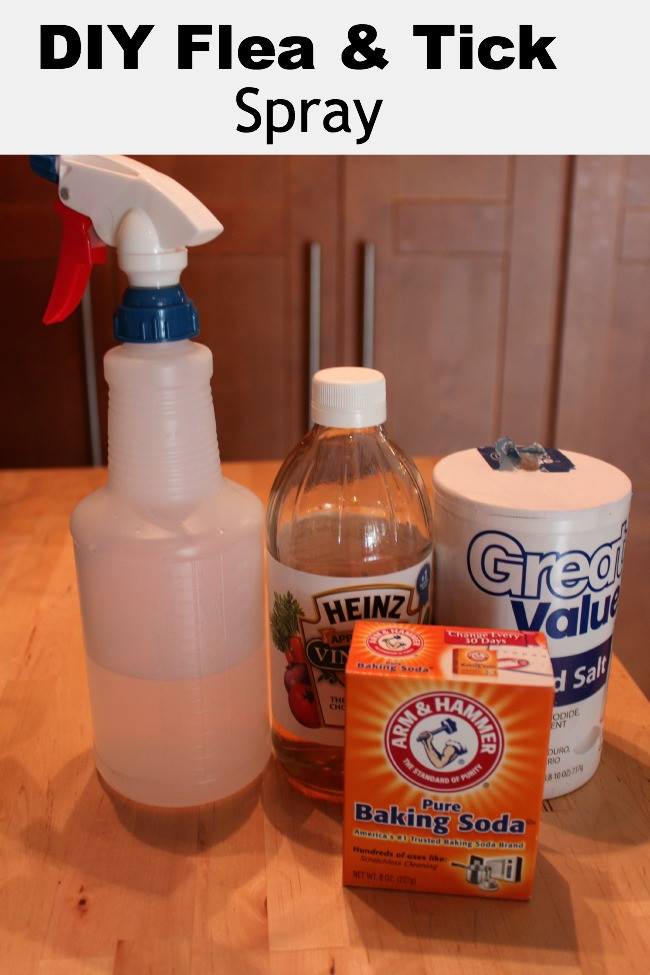 DIY Flea And Tick Spray For Dogs
 Homemade Flea & Tick Spray for Pets Debt Free Spending