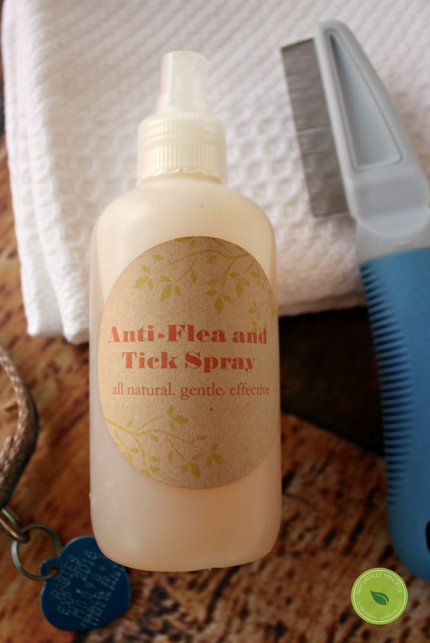 DIY Flea And Tick Spray For Dogs
 DIY Natural Flea and Tick Spray for Dogs