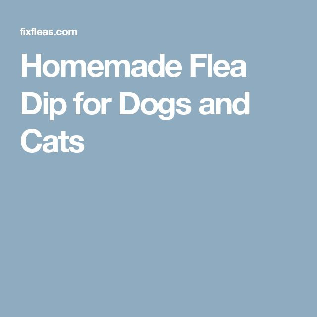 DIY Flea Dip For Dogs
 Homemade Flea Dip for Dogs and Cats