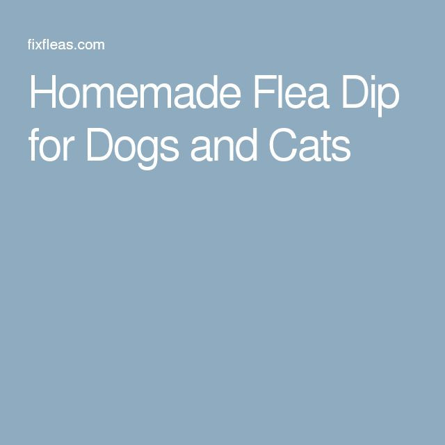 DIY Flea Dip For Dogs
 Homemade Flea Dip For Cats – Homemade Ftempo
