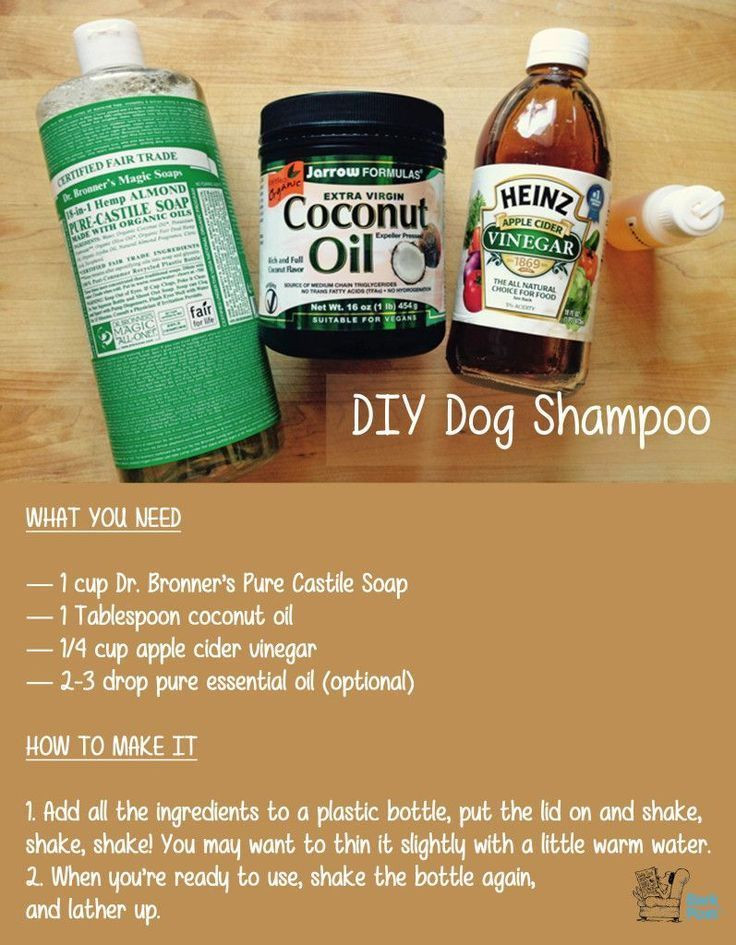 DIY Flea Dip For Dogs
 Best 25 Homemade Flea Shampoo Ideas Pinterest