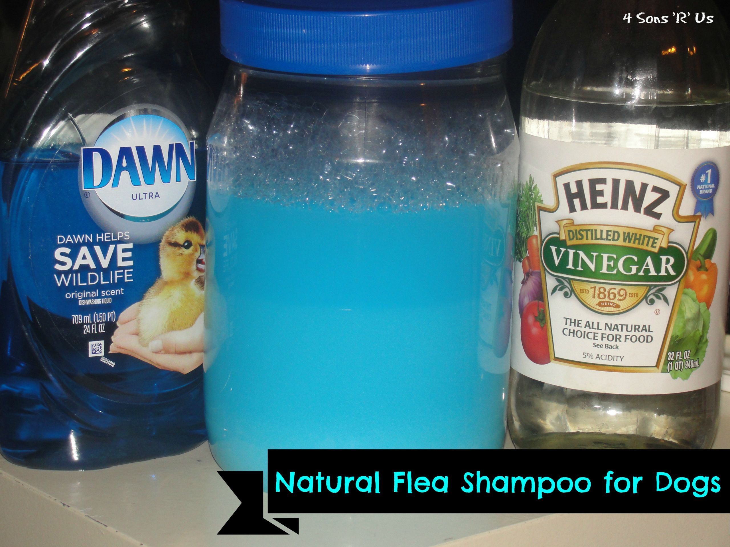 DIY Flea Dip For Dogs
 Homemade Flea Dip For Dogs And Cats Homemade Ftempo