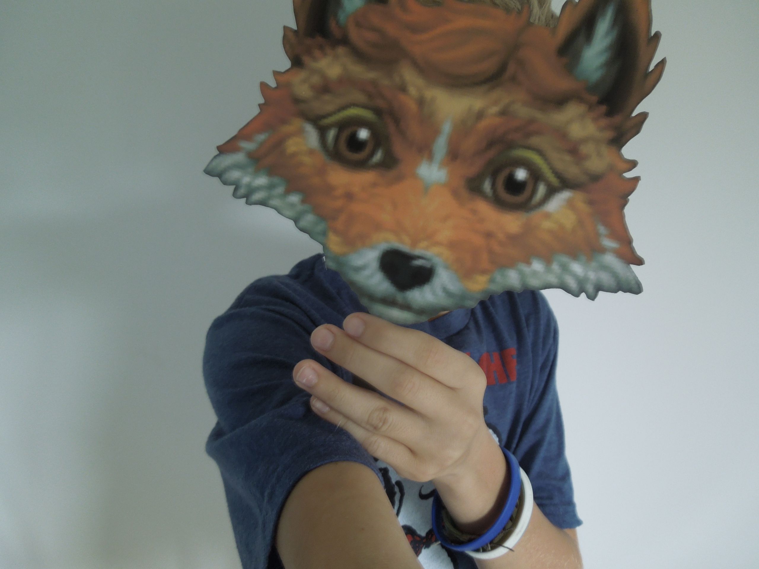 DIY Fox Mask
 Fox Mask DIY