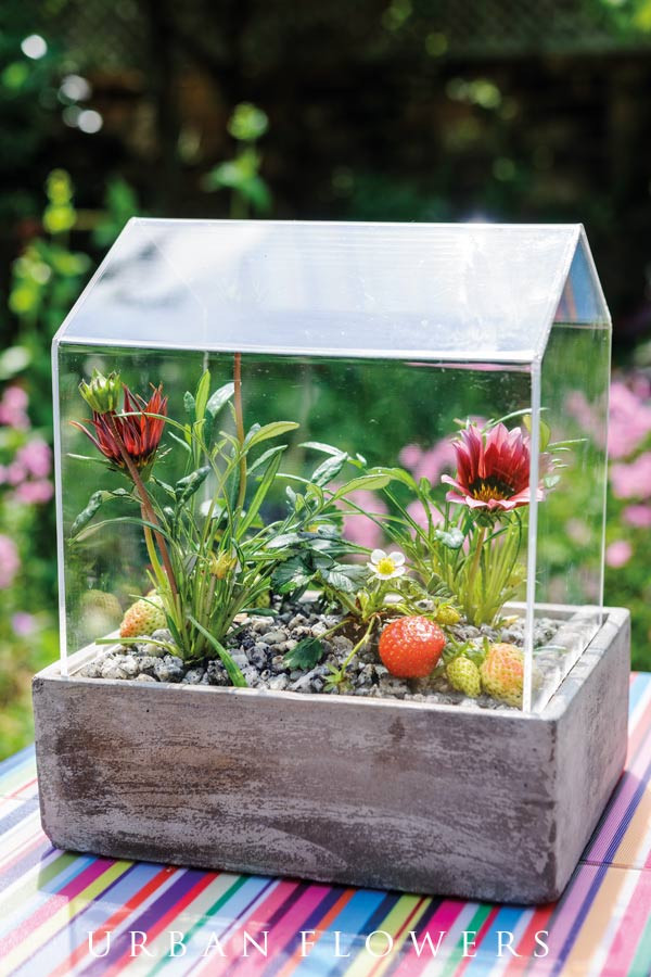 DIY Garden Gifts
 15 Simple & Lovely DIY Garden Gift Ideas