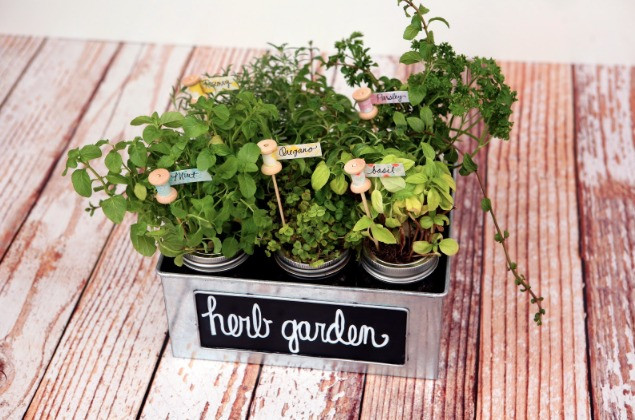 DIY Garden Gifts
 8 Darling DIY Herb Garden Gifts DIY Gifts for Foo s