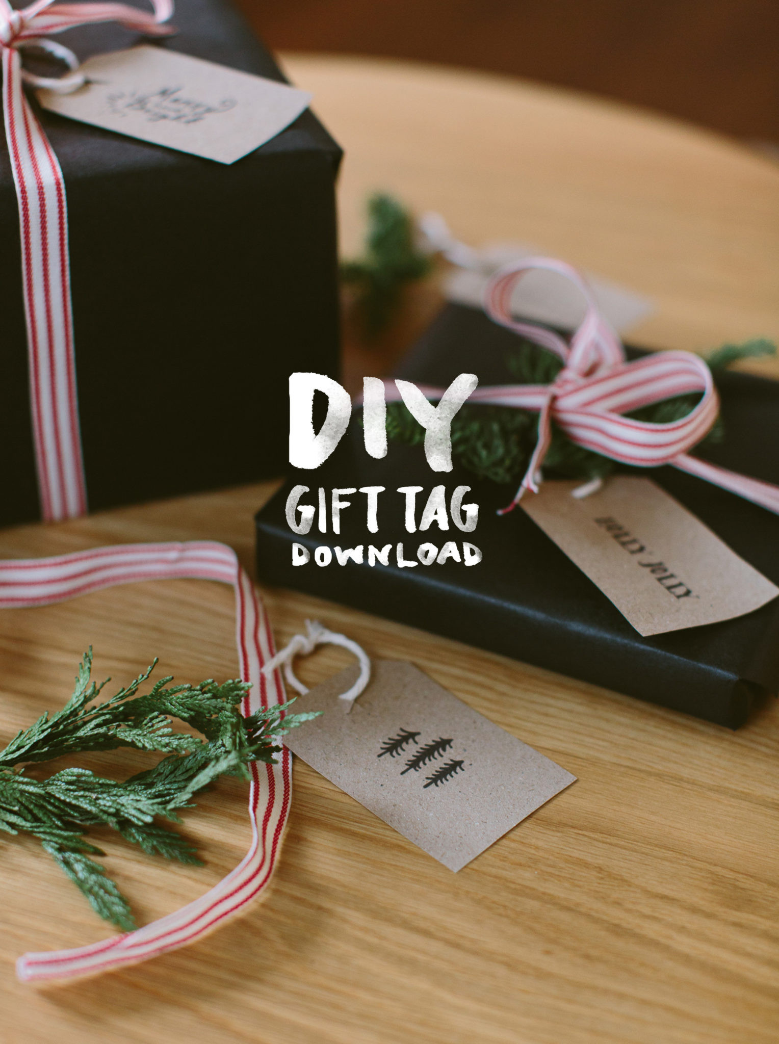 DIY Gift Tags
 DIY Printable Gift Tags