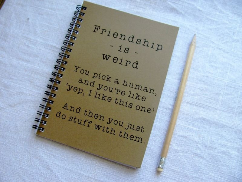 DIY Gifts For Best Friends
 The perfect affordable best friend ts