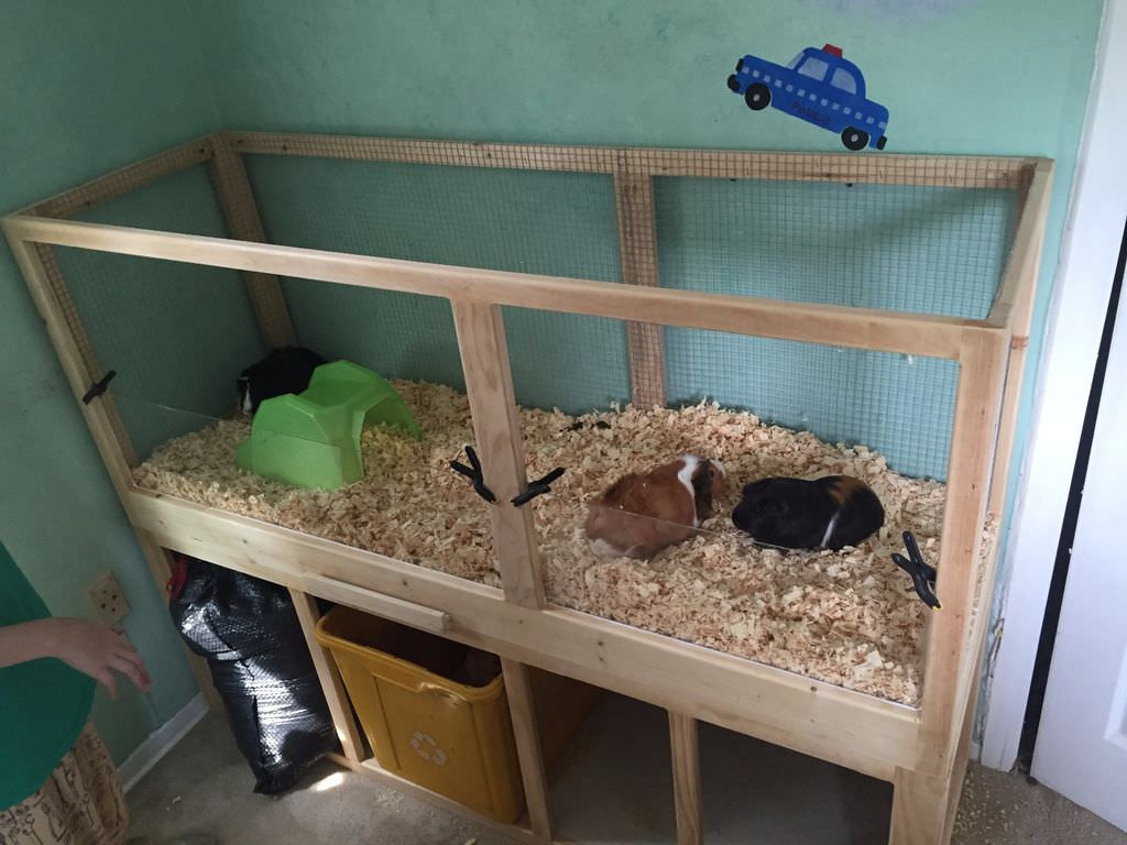 DIY Guinea Pig Cage Plans
 13 Cozy DIY Guinea Pig Cages [List] MyMyDIY