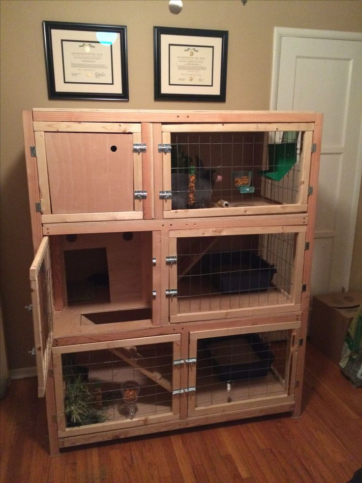DIY Guinea Pig Cage Plans
 Pin on Best Guinea Pig Board