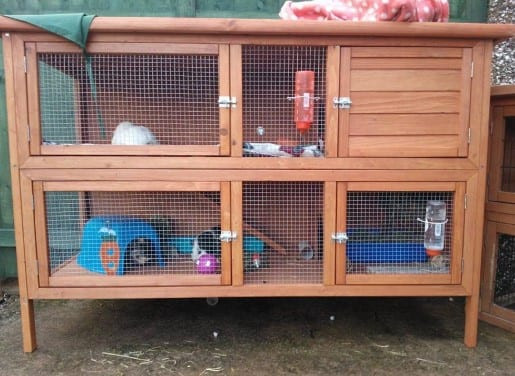DIY Guinea Pig Cage Plans
 How to Build a Guinea Pig Cage Out of Wood – Cut The Wood