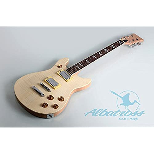 DIY Guitar Kit Amazon
 Guitar Build Kit Amazon