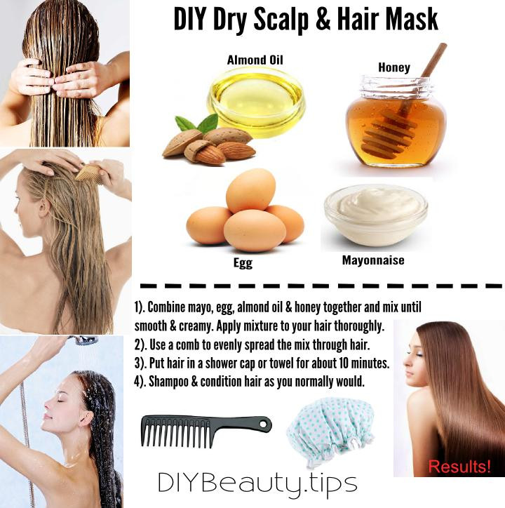 DIY Hair Mask For Dry Scalp
 DIY Dry Scalp & Hair Mask