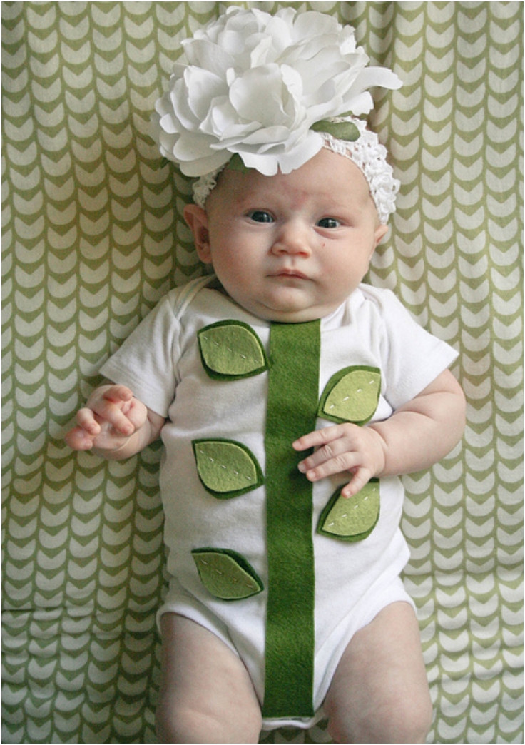 Diy Halloween Costume For Baby
 Top 10 Adorable DIY Baby Costumes Top Inspired