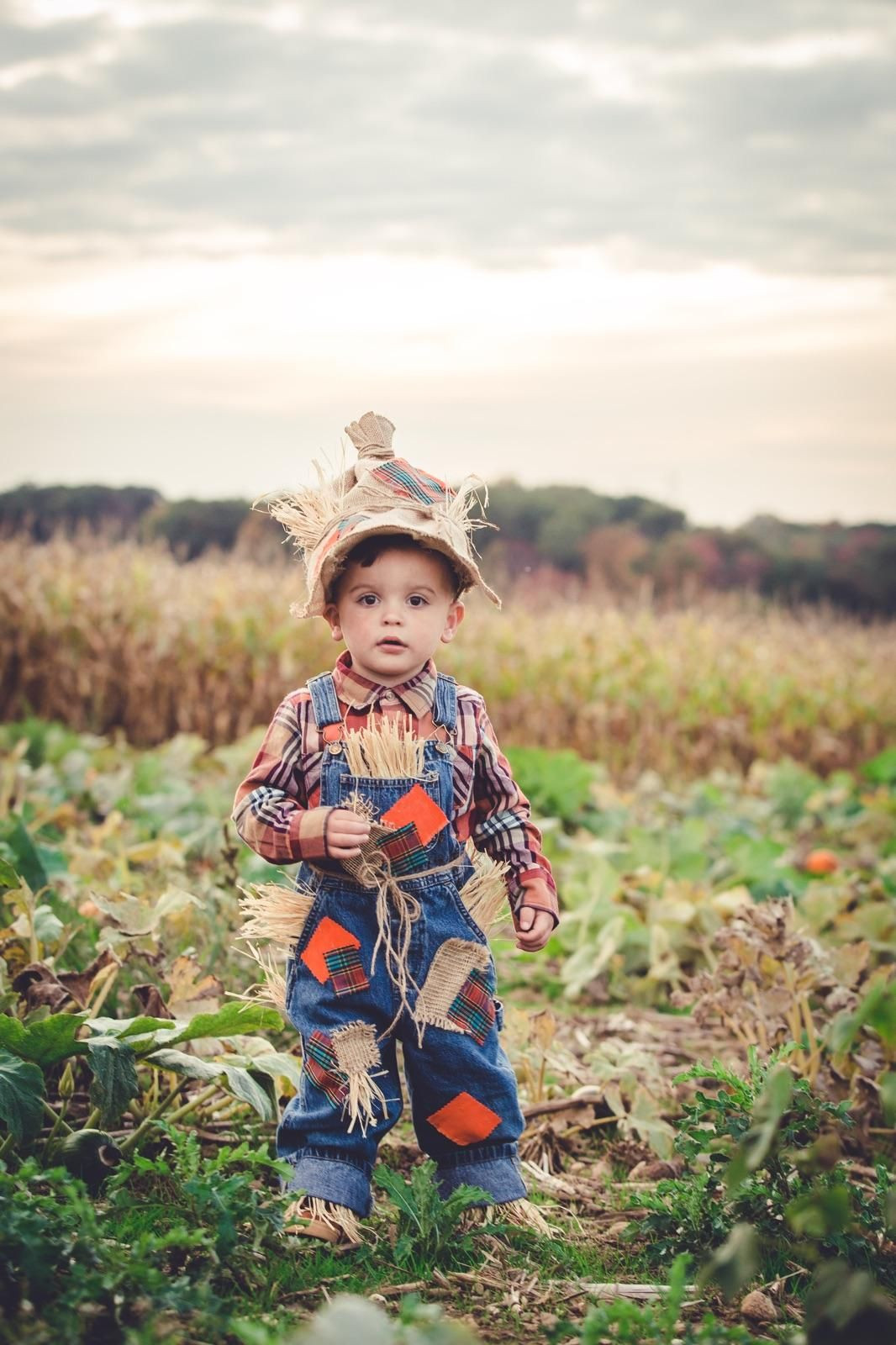 DIY Halloween Costume For Toddler Boy
 Scarecrow Costume Halloween Toddler Boy 3T With