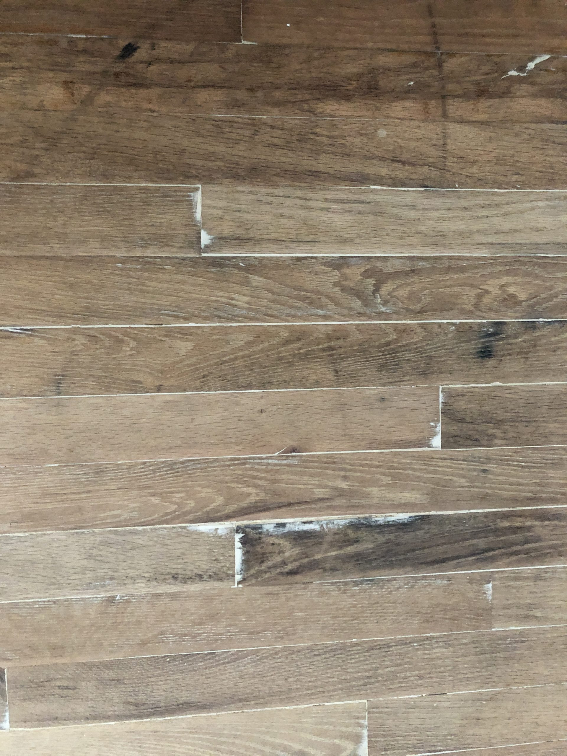 DIY Hardwood Floor Refinishing Beginners
 Frugal DIY Hardwood Floor Refinishing for Beginners